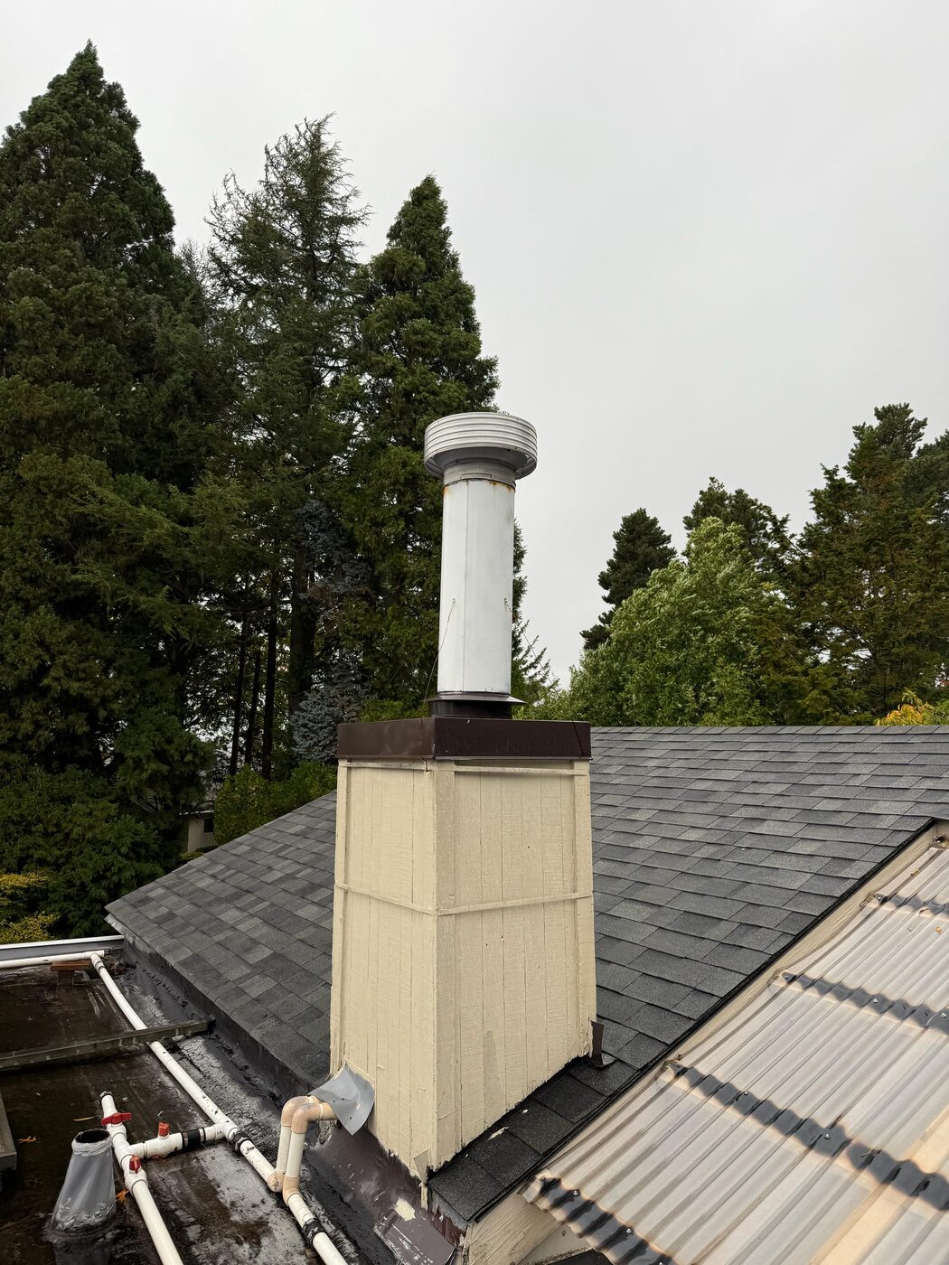Flue & liner scan